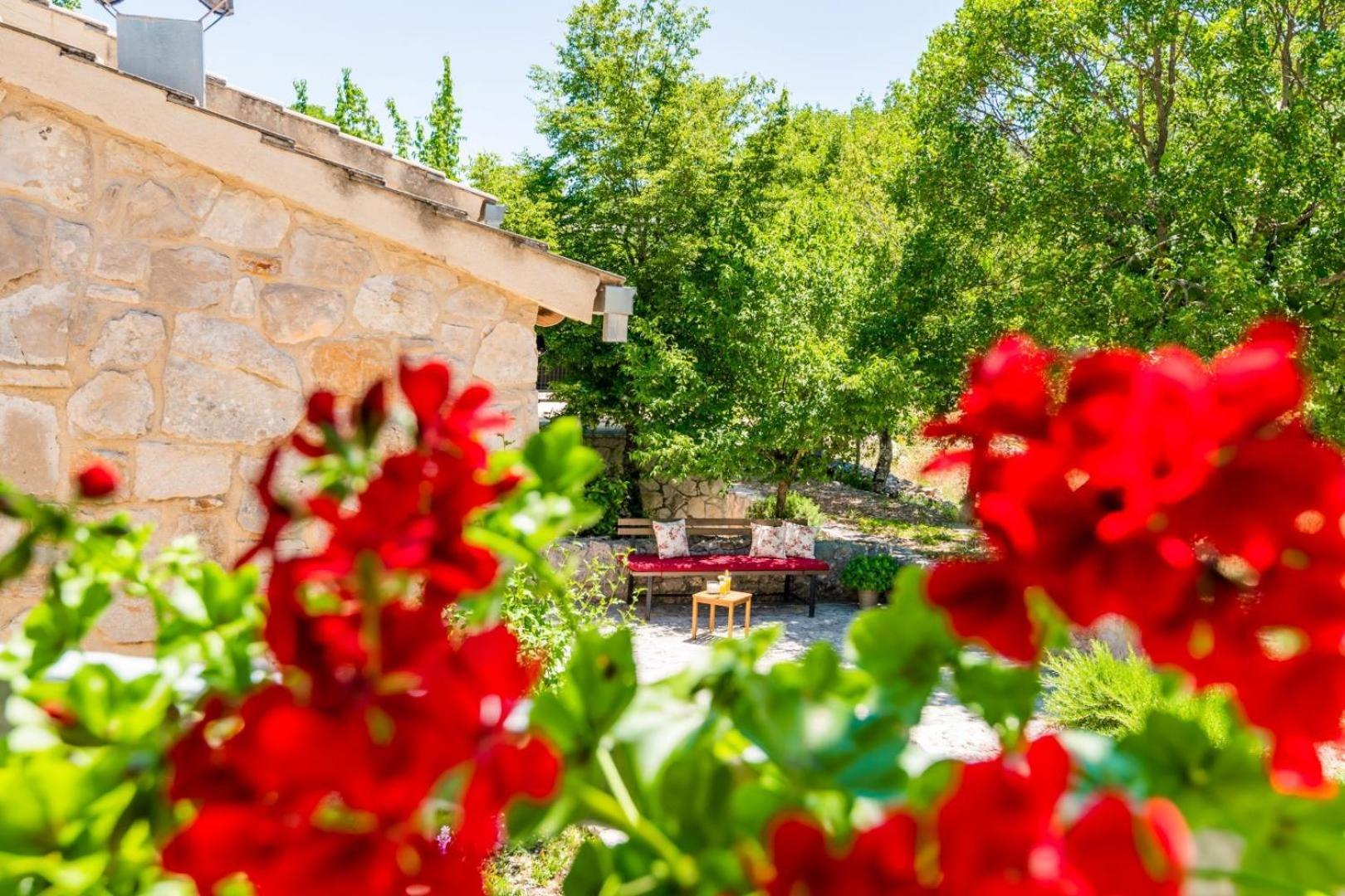 Villa Ognjistar In The Hinterland Of Makarska Riviera Zmijavci Exterior photo